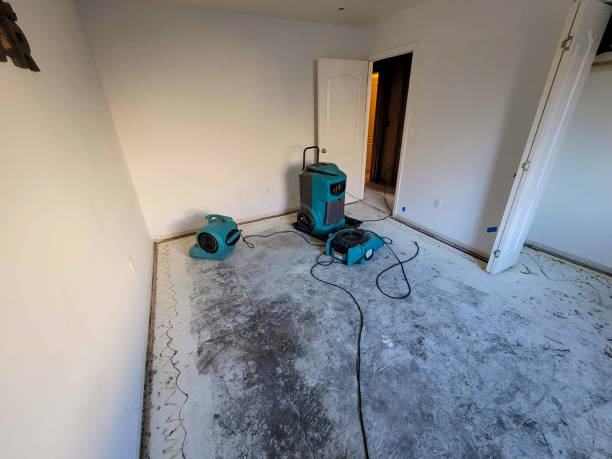 Water damage restoration insurance claims in Cheyenne, WY