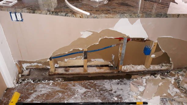 Best 24-hour water damage restoration  in Cheyenne, WY