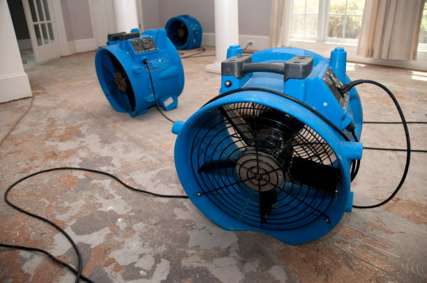 Best Water damage restoration near me  in Cheyenne, WY