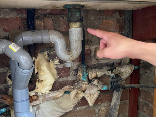 Best Carpet water damage restoration  in Cheyenne, WY