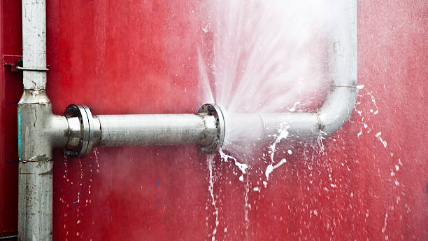 Best Flood damage cleanup  in Cheyenne, WY